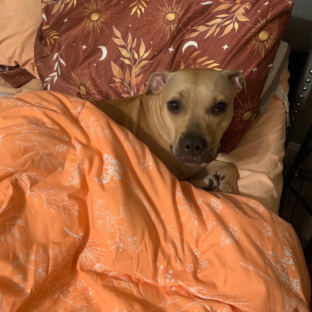 Meet your Posher, Courtney